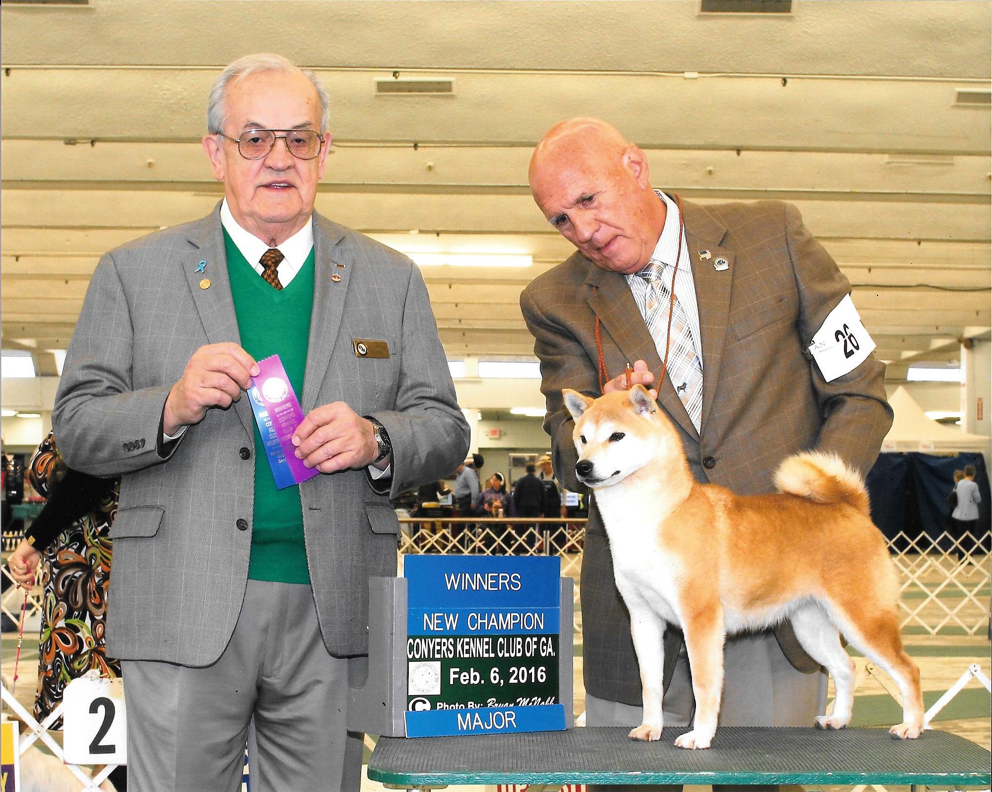 Shiba Inu Puppies, Champion Shiba Inus - Marma Farms